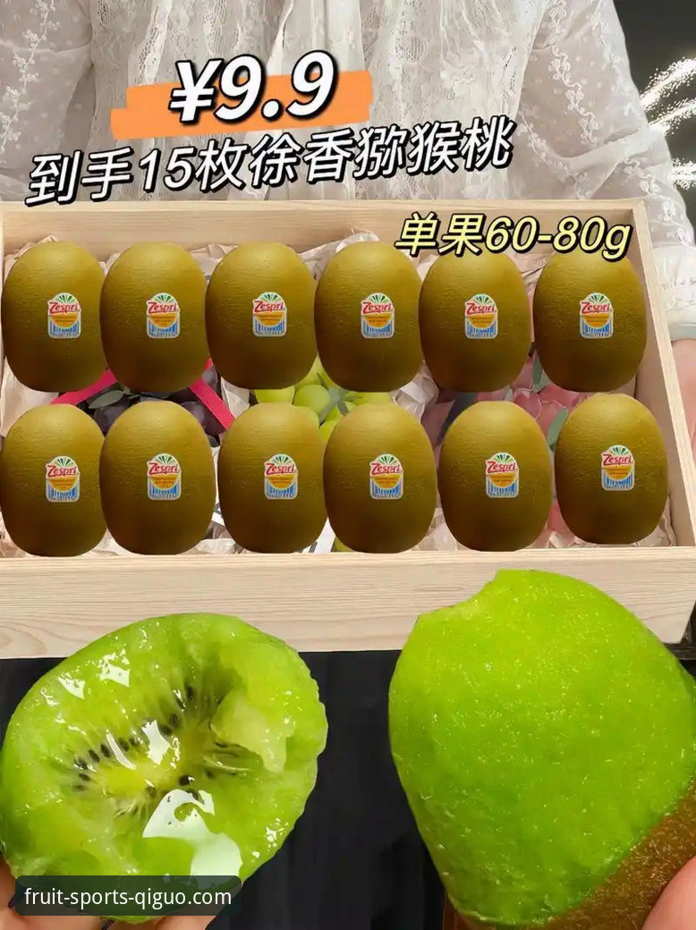 奇异果体育电脑版深度评测：从安装体验到R7K9版本功能全面解析